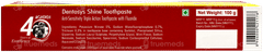 Dentosys Shine Toothpaste 100Gm